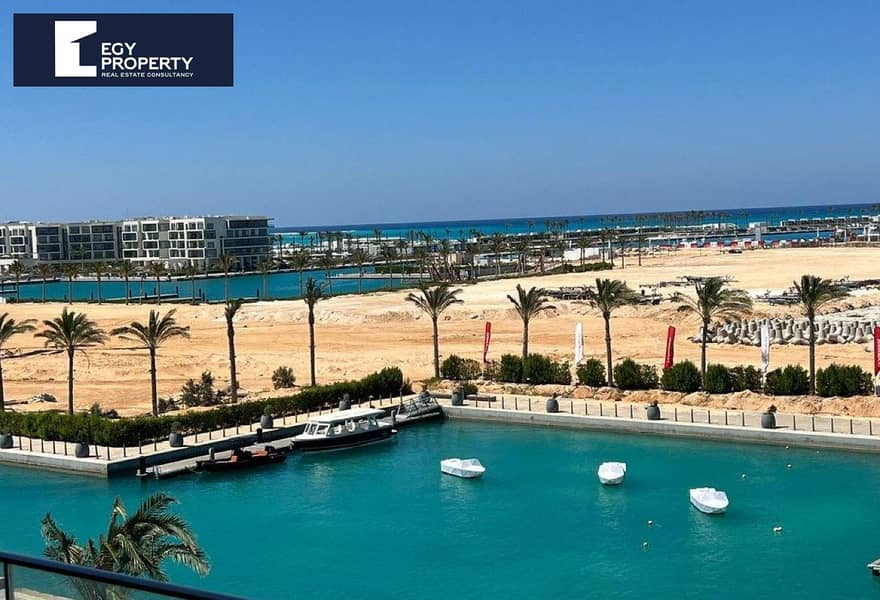 7 11a78228-cd54-46d1-9972-ecbd288553dc. jpg