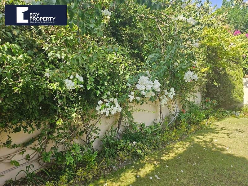 4 _files_WhatsApp Image 2025-09-27 at 3.37. 12 PM. jpeg