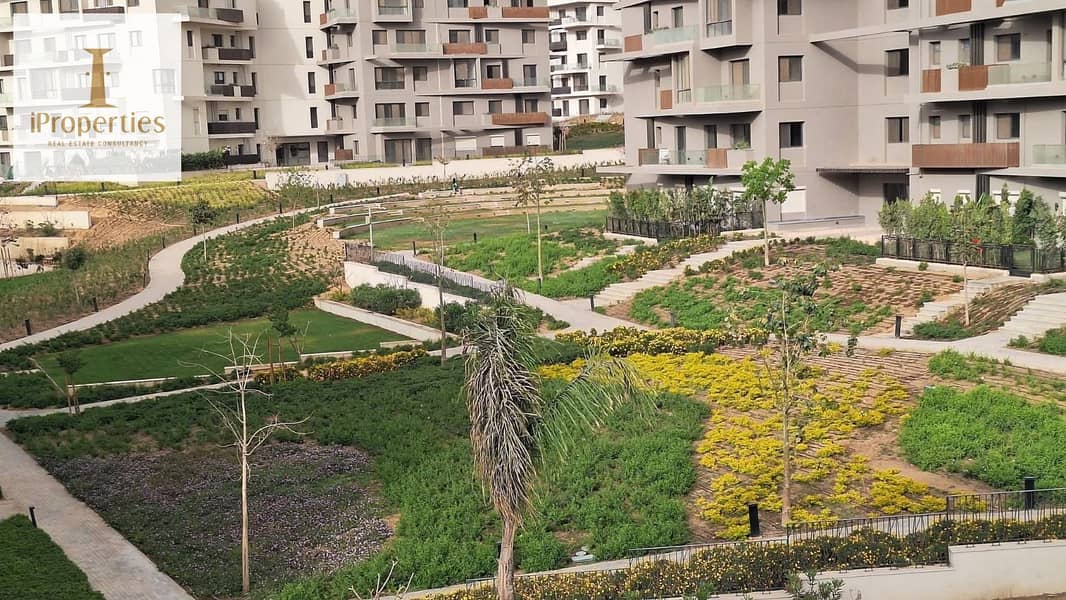 4 WhatsApp Image 2025-07-01 at 3.16. 08 PM (1). jpeg