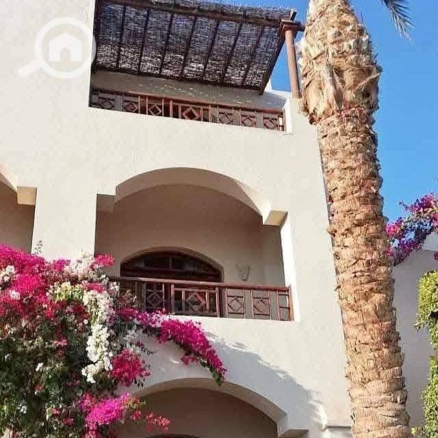 3 526470973_122144747252827292_1500941170590426289_n. jpg