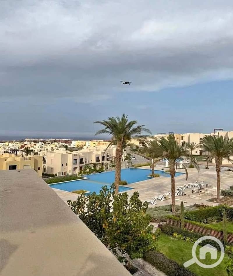 11 571273506_1251282450055808_5792404364155324876_n. jpg