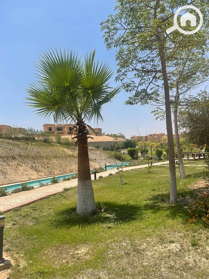 8 487604119_4057278517890201_9144665923489840440_n. jpg