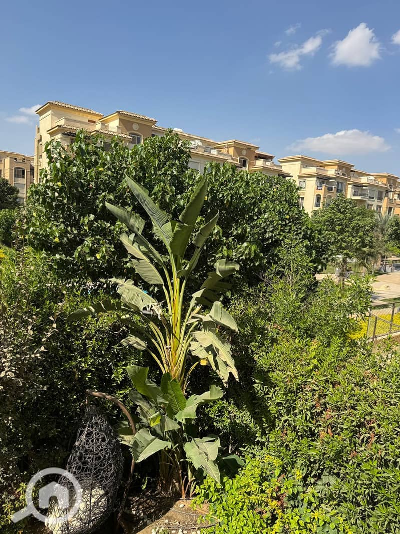 2 IMG-20251124-WA0008. jpg