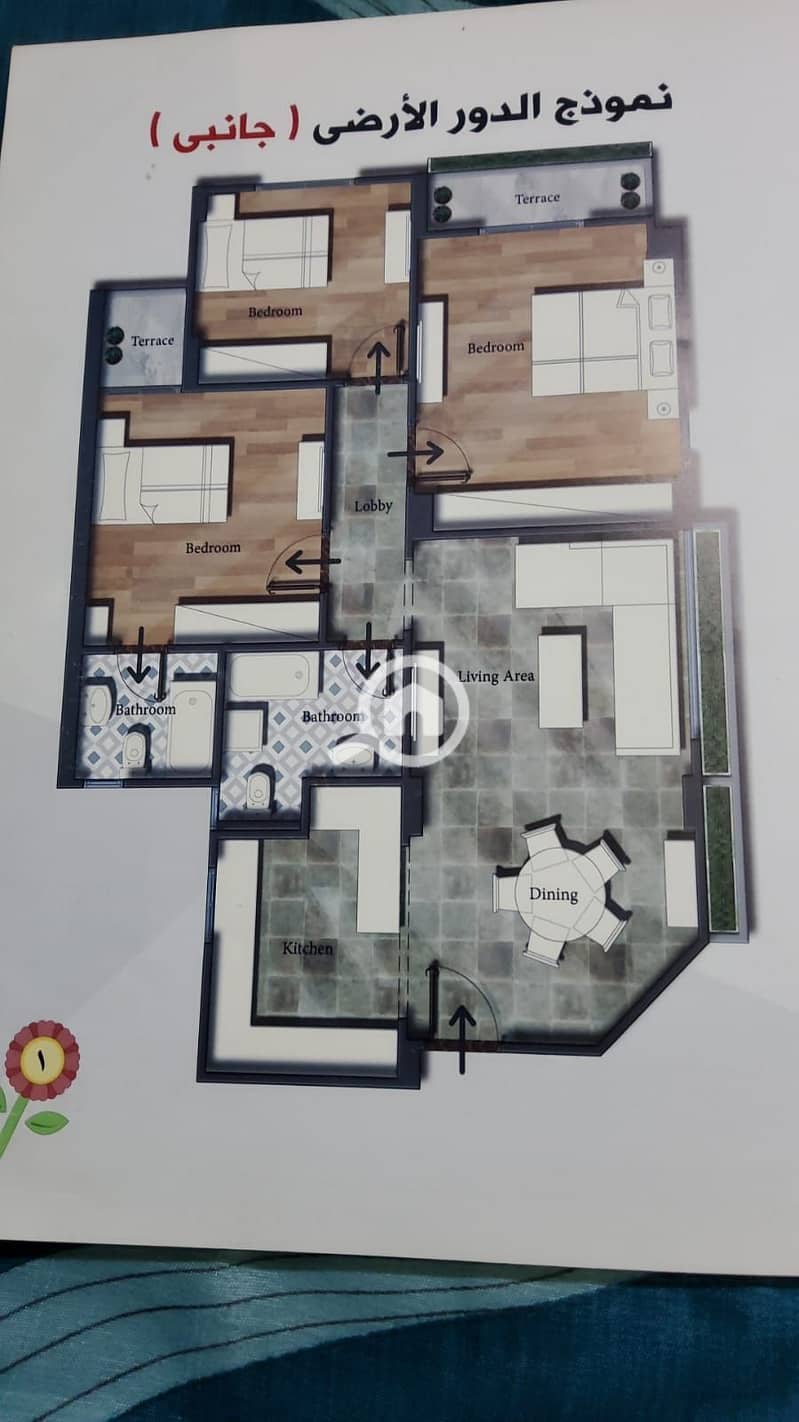 3 e2b76b43-d455-4dbe-8b56-e4f4e3aed48a. jpg