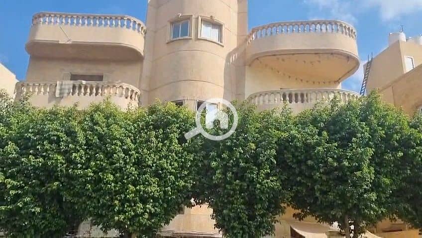 6 e0a38961-a9c2-4395-8fbd-20f6bce7755e. jpg