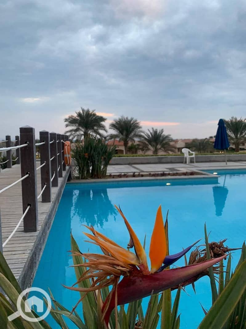 9 FB_IMG_1764014017312. jpg