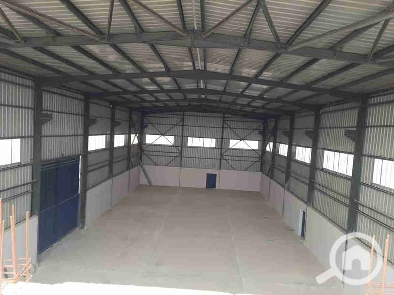 1000114228. jpg 1000114228. jpg