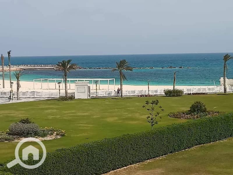 11 FB_IMG_1764016229962. jpg