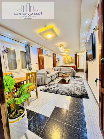 2 Bedroom Apartment for Sale in Nakheel, Alexandria - 5b70e473-fd03-4c5e-9bc5-747e9a1fc887. jpg