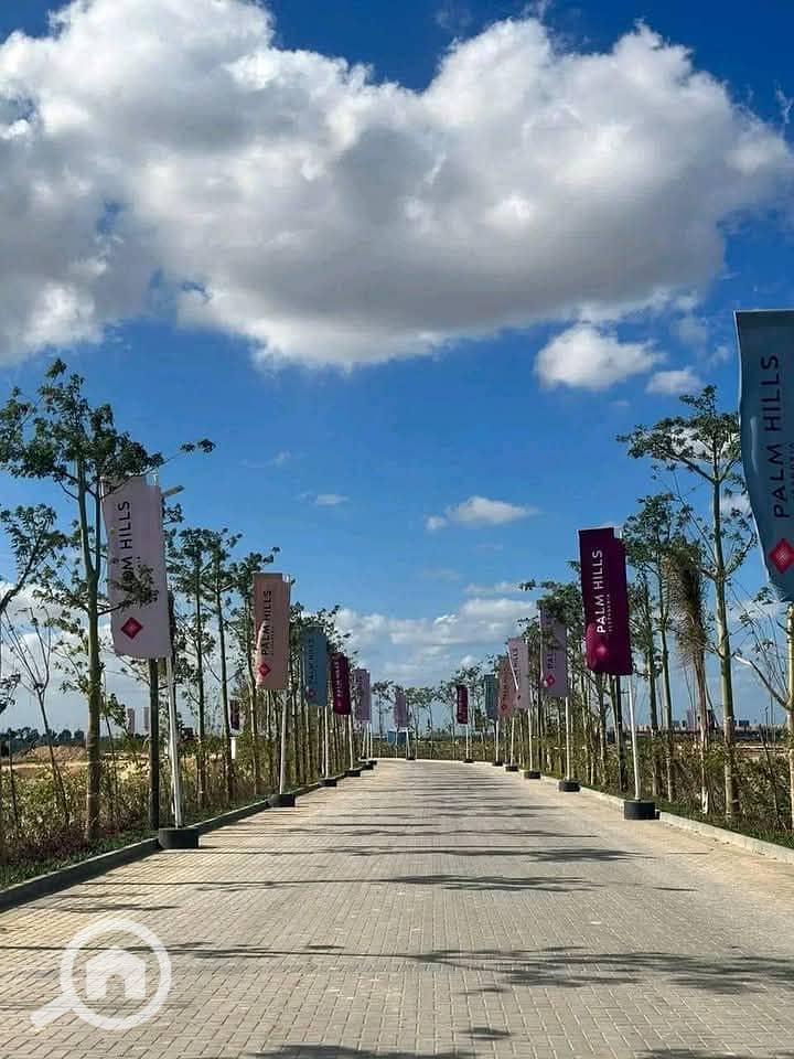 9 photo_2025-01-20_20-57-26. jpg