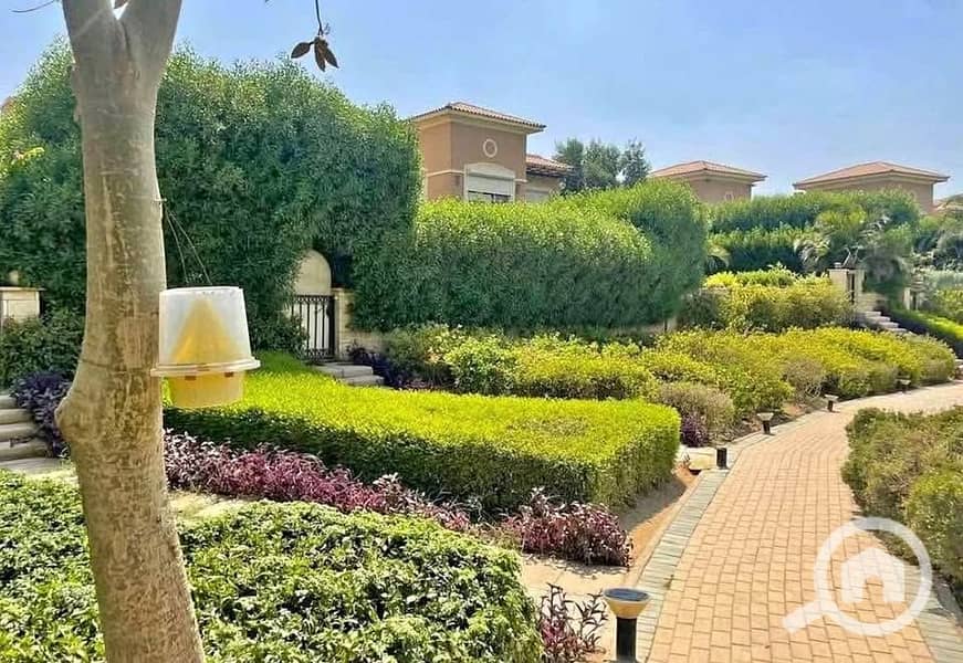 7 571204194_3460162354150063_1984893668569592267_n. jpg