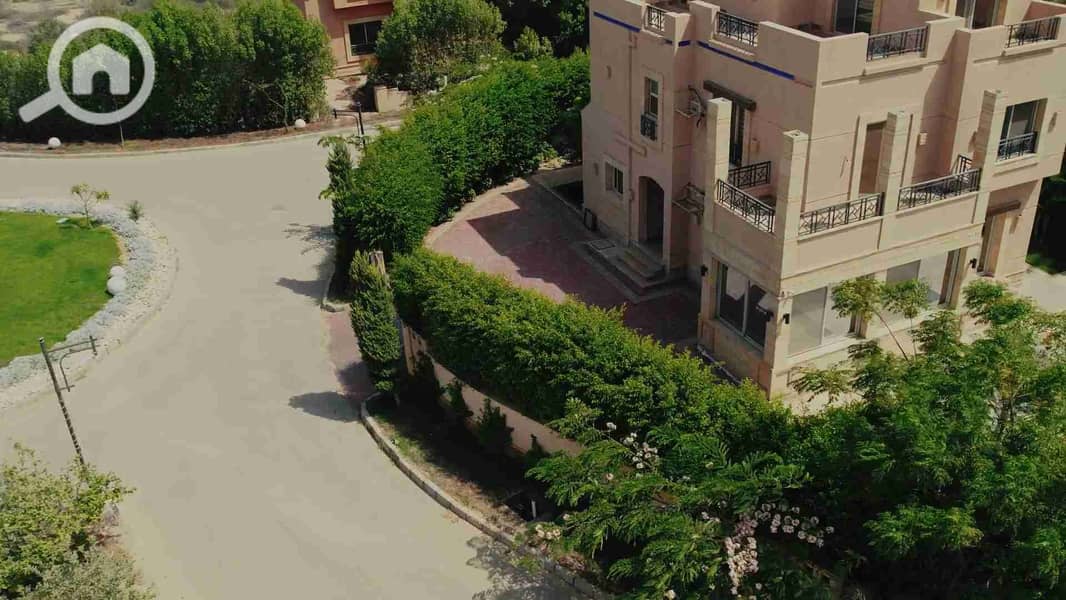 1000246303. jpg 1000246303. jpg