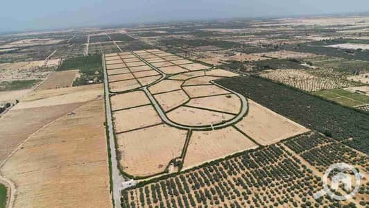 أرض سكنية للبيع في الشيخ زايد، الجيزة - 1000245238. jpg أرض سكنية للبيع في الشيخ زايد، الجيزة - 1000245238. jpg