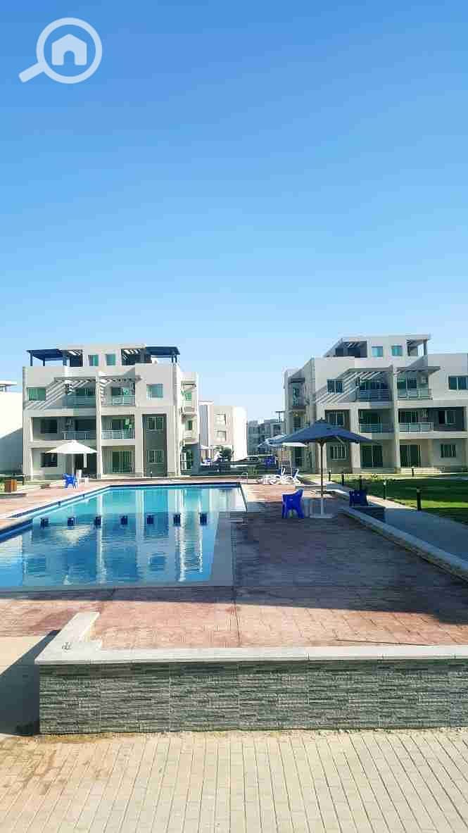 7 IMG_20210927_140855_522. jpg