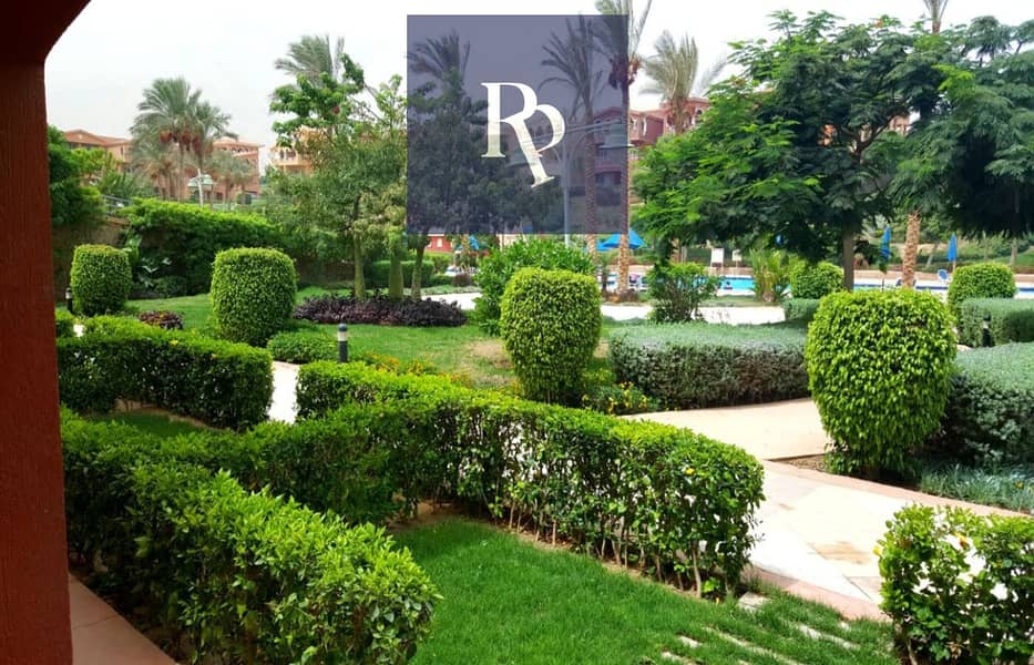 4 9cc79bbb-f611-4e3a-a783-134ed93901f4. jpeg