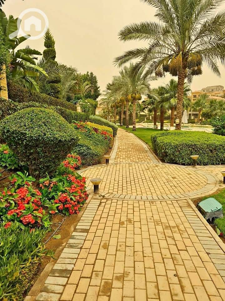 4 584514667_886672983716661_3278845310456520479_n. jpg