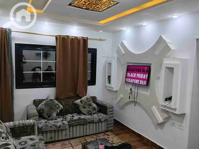 2 Bedroom Apartment for Rent in Mandara, Alexandria - 4142. jpg