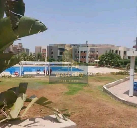 2 1764047854692. jpg