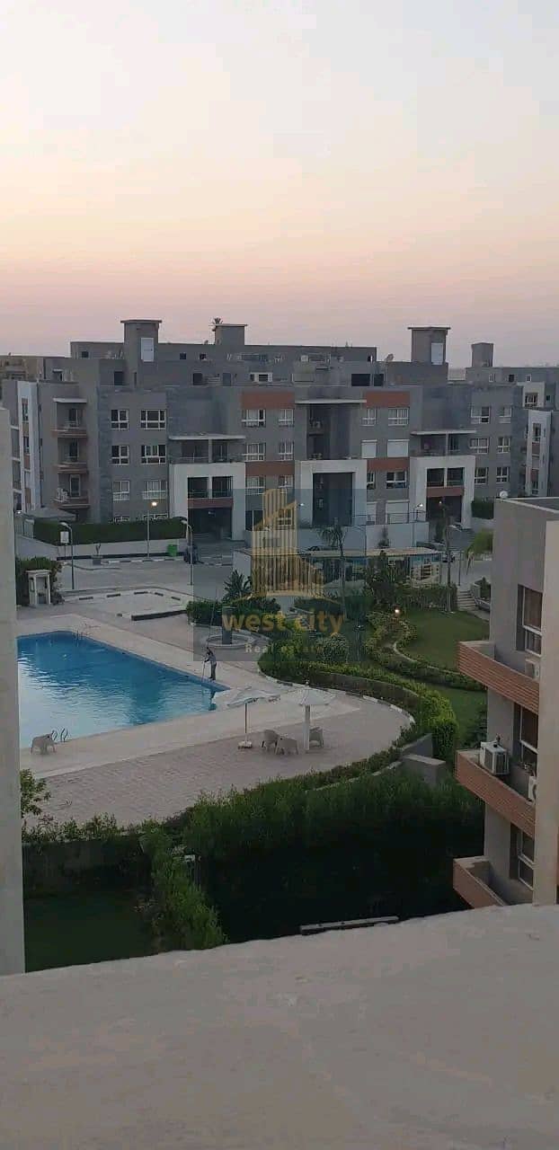 3 1764047802409. jpg