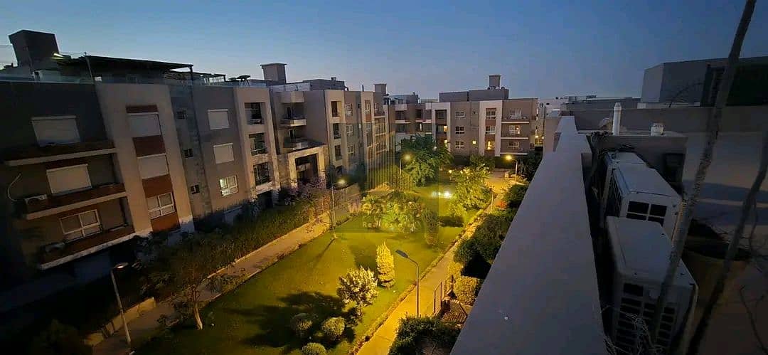 4 1764047872780. jpg