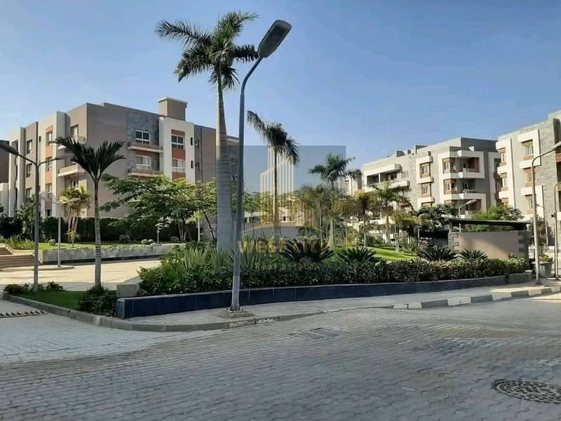 5 1764047940123. jpg