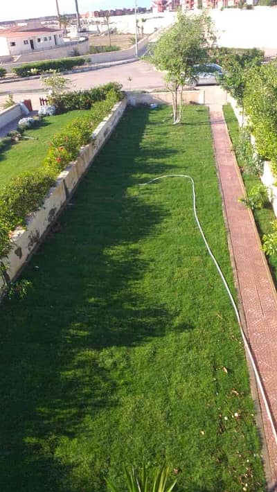 3 Bedroom Twin House for Sale in North Coast, Matruh - 4e771a55-6447-4b6a-88b2-7b0a2b4ceedc. jpg