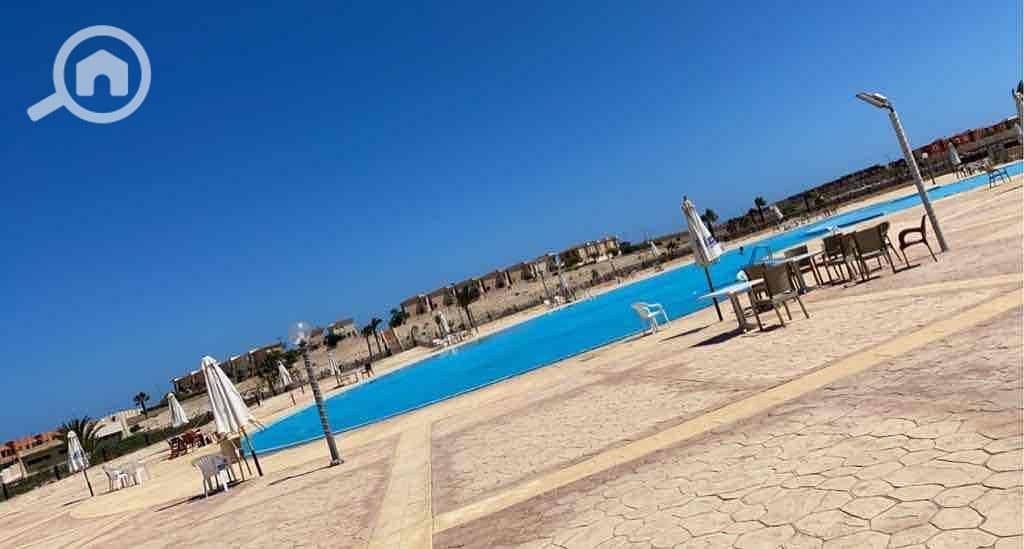 7 b5f33873-d3bb-4523-9506-ca994130db7c. jpg