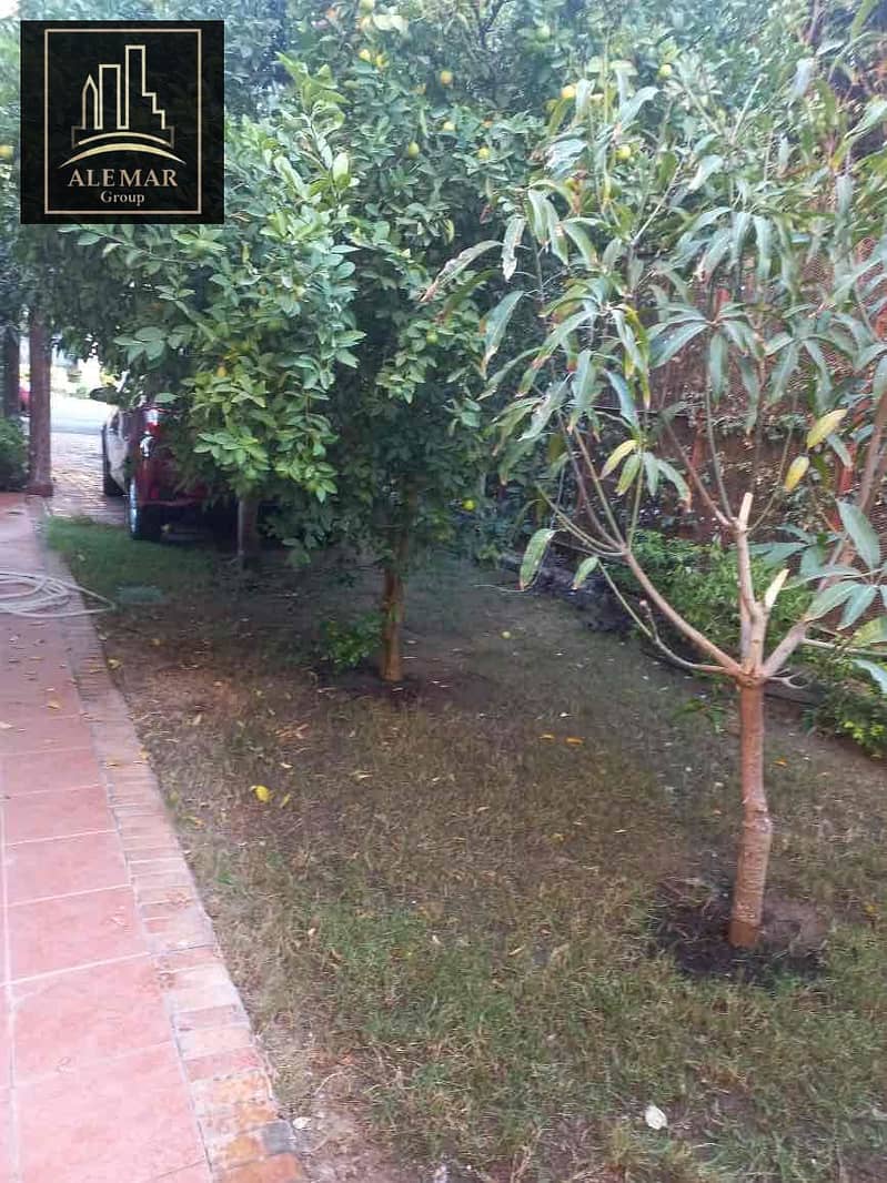 7 fcce9cf9-2900-4c76-91ca-4dc8d5bd2ee5. jpg