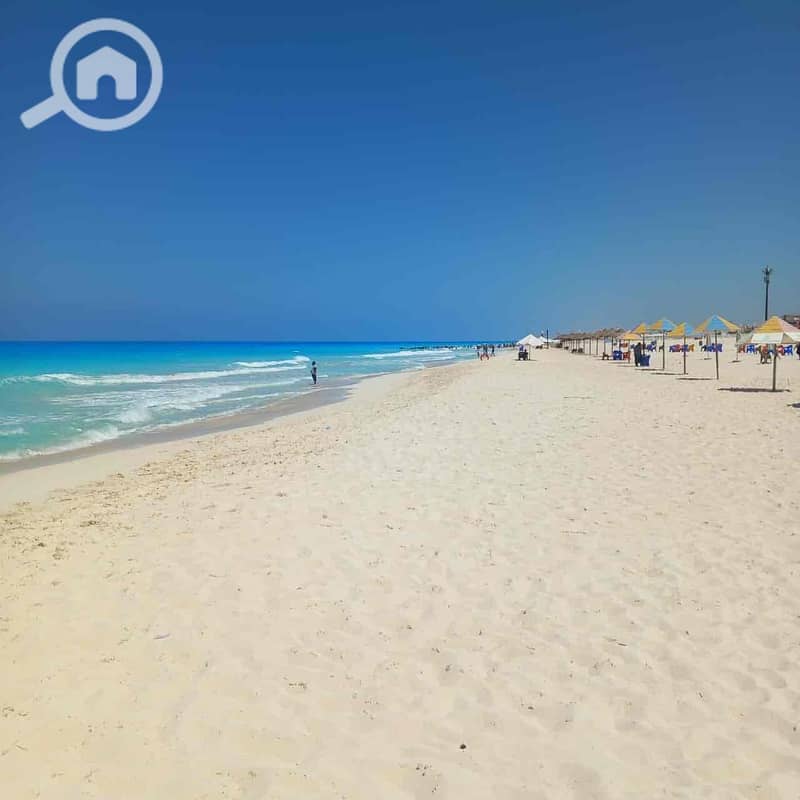 16 42cec996-29ae-4daa-afc6-6fd7e8b7b880. jpg