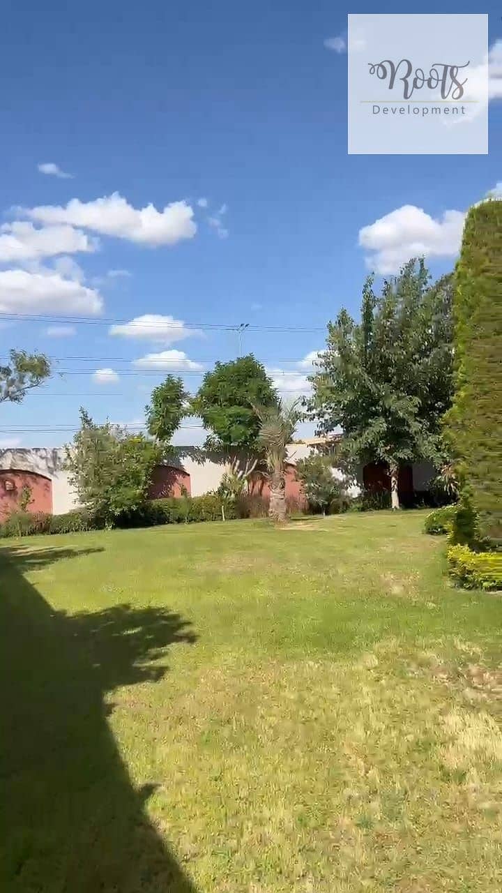 13 WhatsApp Image 2025-11-20 at 14.42. 35. jpeg