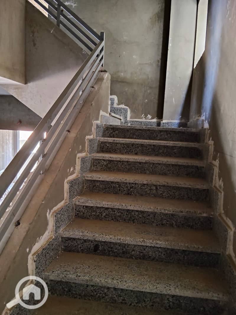 7 WhatsApp Image 2025-06-15 at 12.17. 29_cc347d6b. jpg