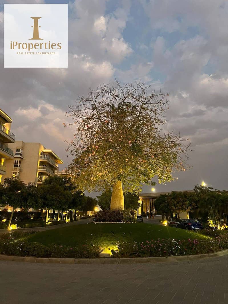 7 577548723_1524168085482056_6437058136970698891_n. jpg