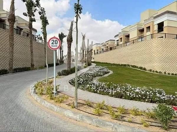 8 503499143_2715321668661775_1461966551911255132_n. jpg