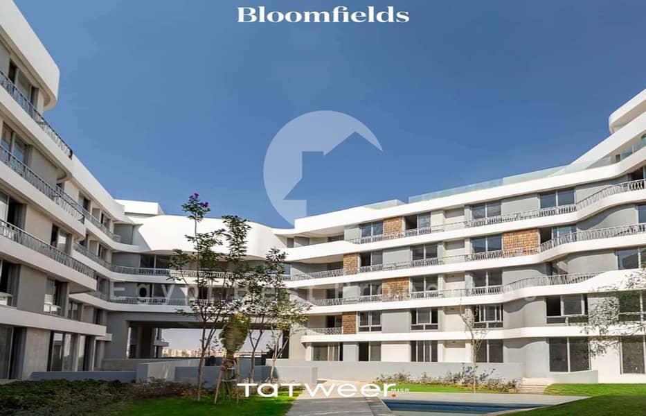 13 Screenshot 2024-08-01 121801. png