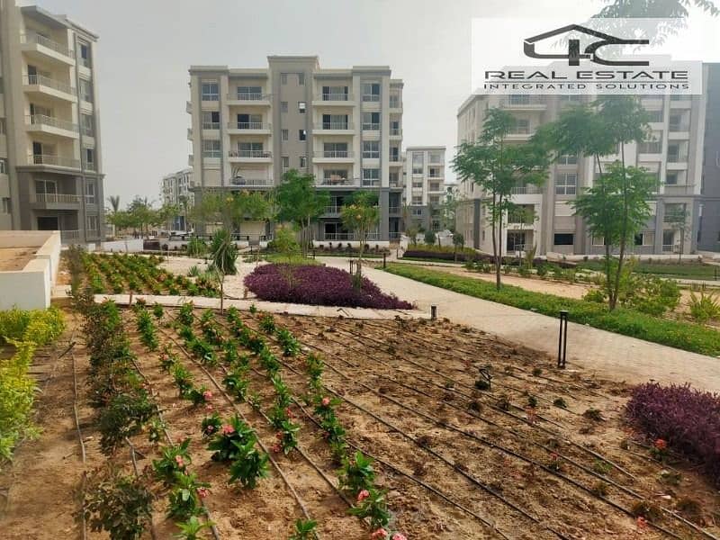 3 WhatsApp Image 2024-05-09 at 4.54. 07 PM. jpeg