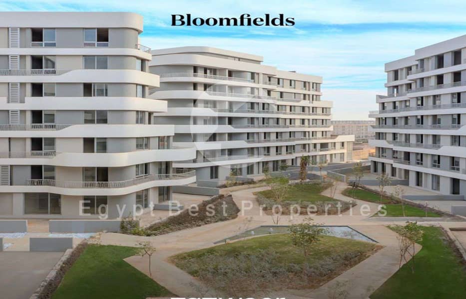 2 Screenshot 2024-08-01 121239. png