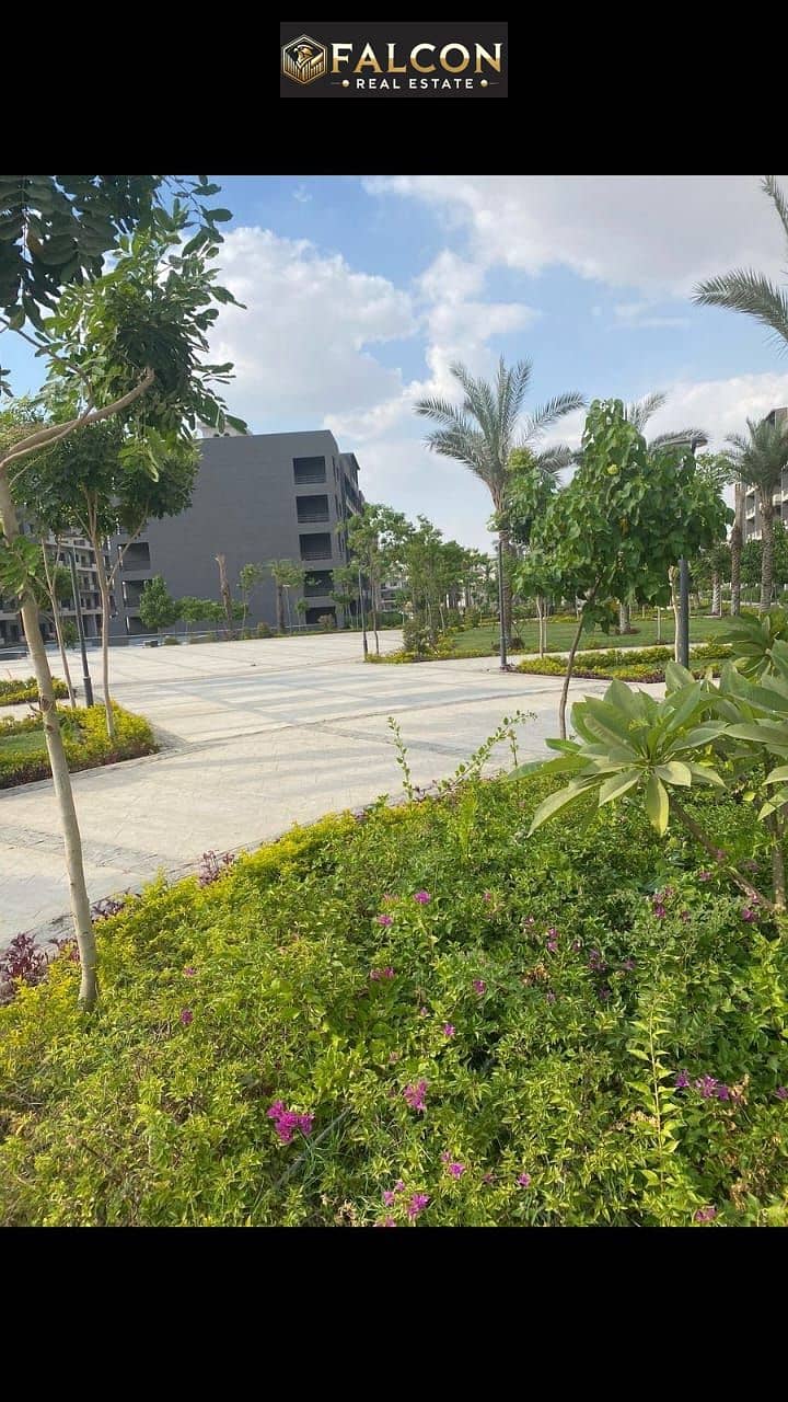 8 WhatsApp Image 2025-10-21 at 14.26. 53_bdea9ebd. jpg