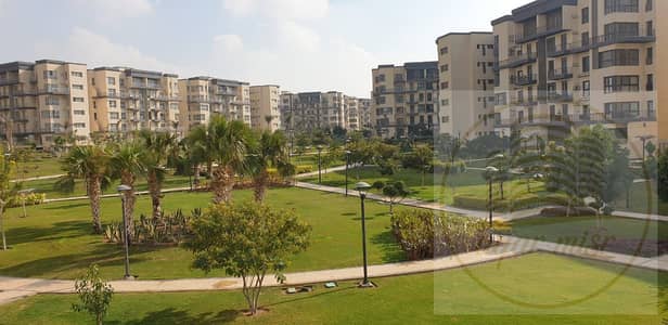 3 Bedroom Apartment for Sale in Madinaty, Cairo - WhatsApp Image 2025-11-19 at 1.32. 07 PM (1). jpeg