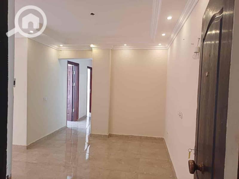 5 482a2aa5-20ac-4619-969e-c6ee0db78d44. jpg