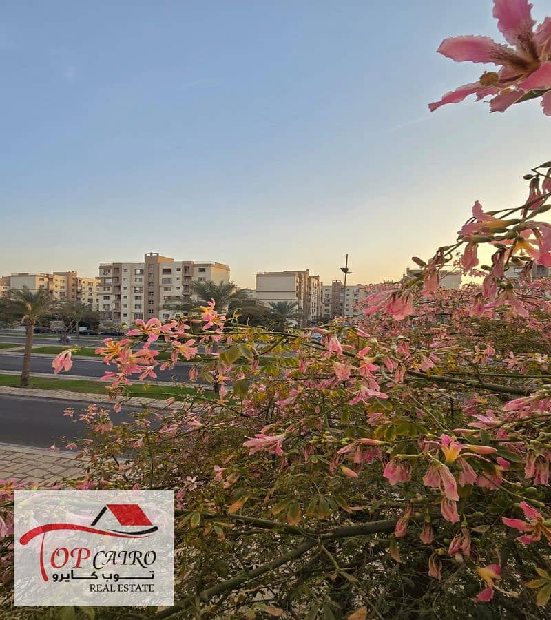 9 IMG-20251125-WA0150_800x900. jpg