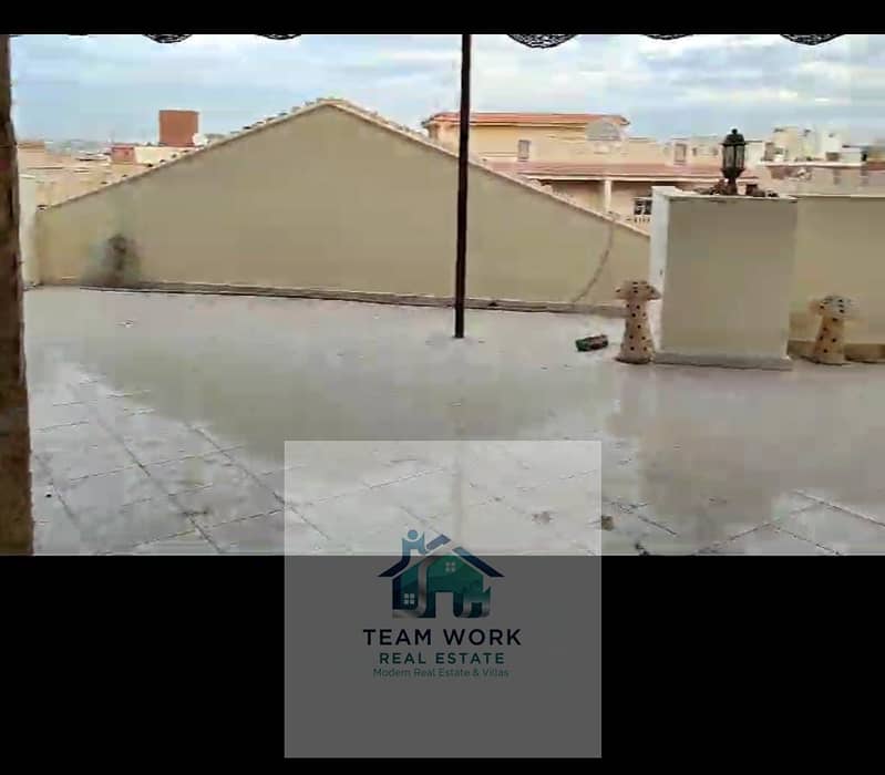 5 738ab5ca-a0a6-40e2-9f0d-c940ded22ab2. jpg