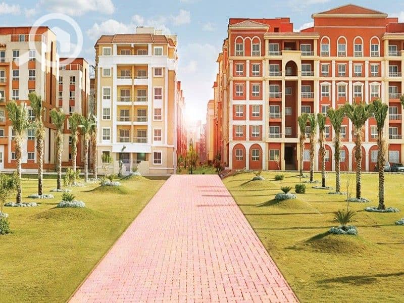 2 477fee09-2fc8-4fcb-99b9-96eb406ee47d. jpg