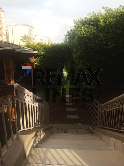 شقة 2 غرفة نوم للايجار في مدينتي، القاهرة - WhatsApp Image 2025-11-25 at 12.22. 43 PM. jpeg