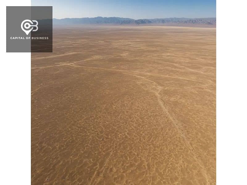 04b6792a-fe83-421a-bd52-eaf605968f5c-1024x1024. jpg 04b6792a-fe83-421a-bd52-eaf605968f5c-1024x1024. jpg