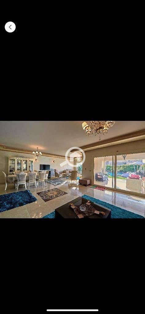 13 6497a843-bfd7-40c8-aa53-efabec094aa4. jpeg