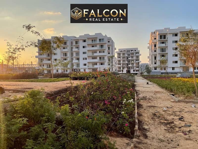 3 24b59dc0-3f2b-4038-a494-3c32fabd3f72. jpg