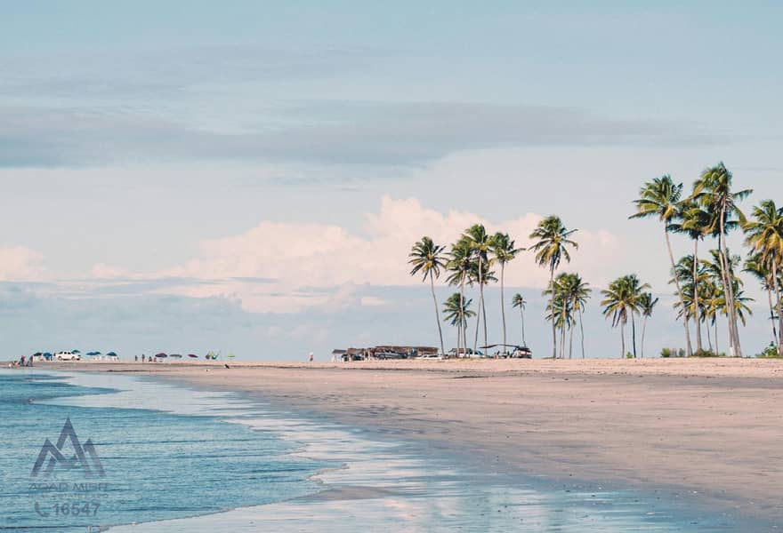 3 5998f958-1b13-46a8-91a4-6ed6be6a87b5. jpg