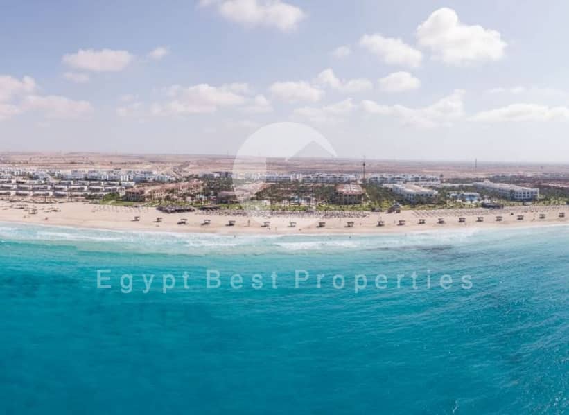 15 f2931bcd-2f35-452c-8d6b-cd7c62a23ea1. jpeg