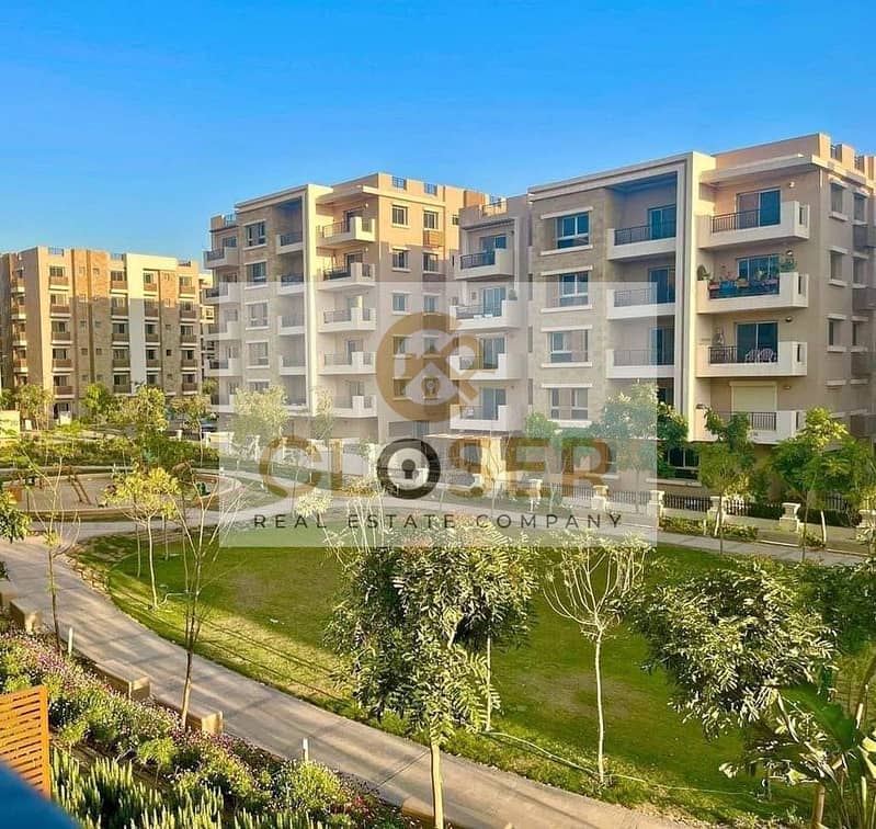 6 448565343_25640040148975681_8547994252605857033_n. jpg