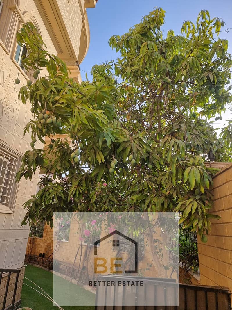 2 WhatsApp Image 2025-10-15 at 7.22. 49 PM (1). jpeg